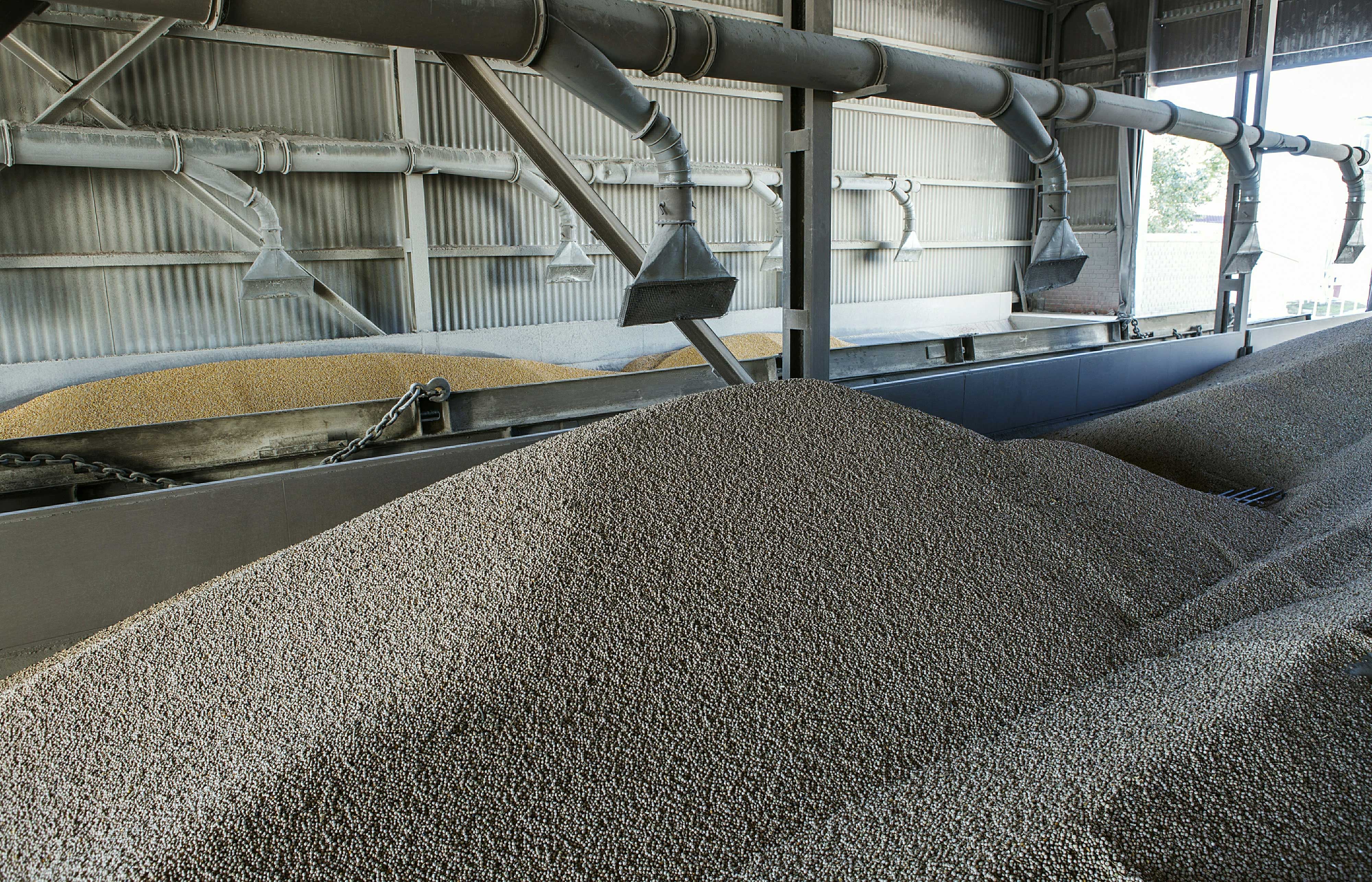 feed-conveyor-optimized