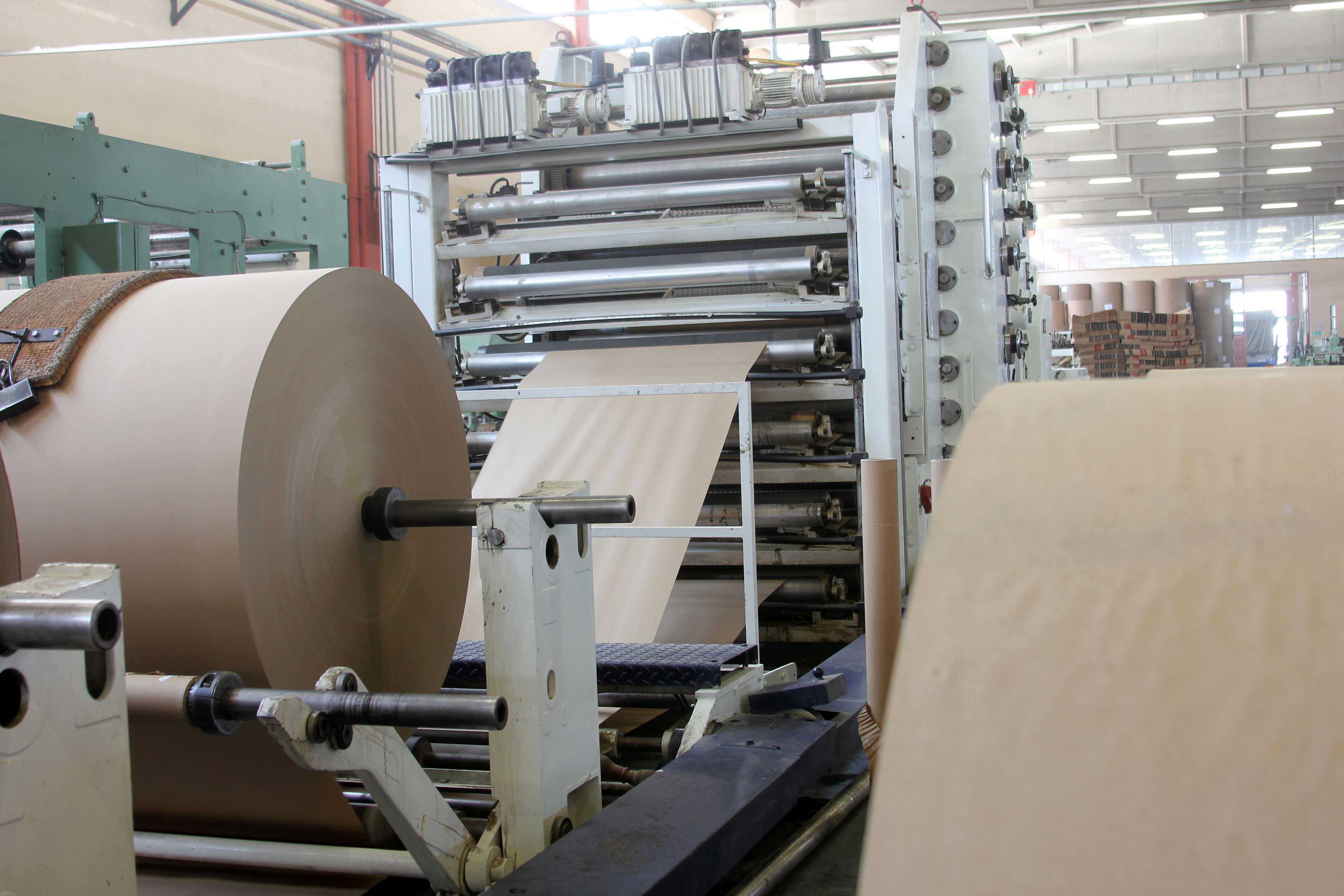 paper-mill-optimized